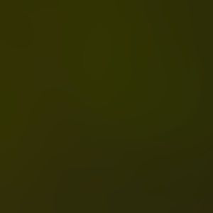 Meet your Posher, Franky